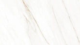Calacatta Crema Raphael Porcelain Raphael Porcelain - Zicana Boutique - 1